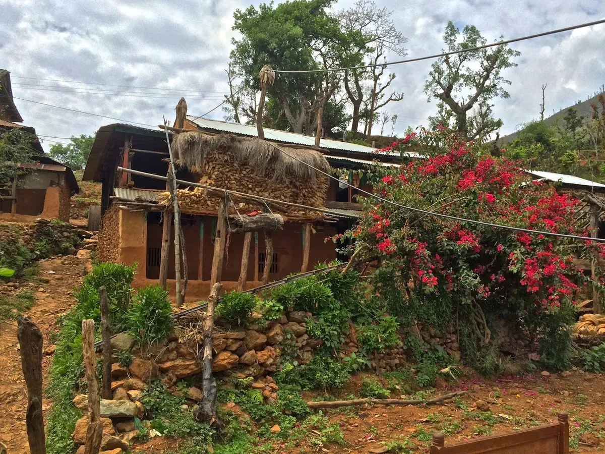 Stone house beside red flowering shrubs on a hillside