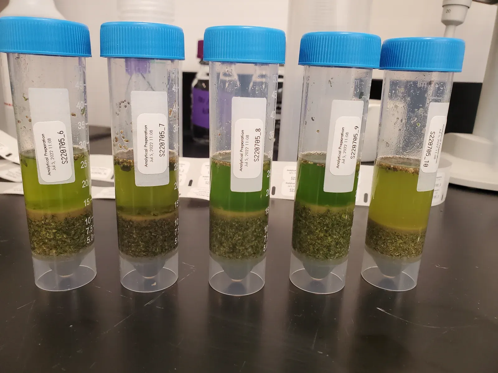 Labelled tubes holding plant samples and liquid on a laboratory bench