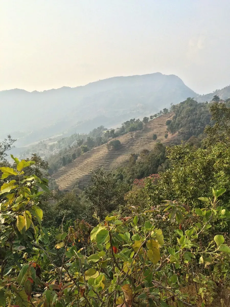 Looking down across cultivated hills into a hazy valley