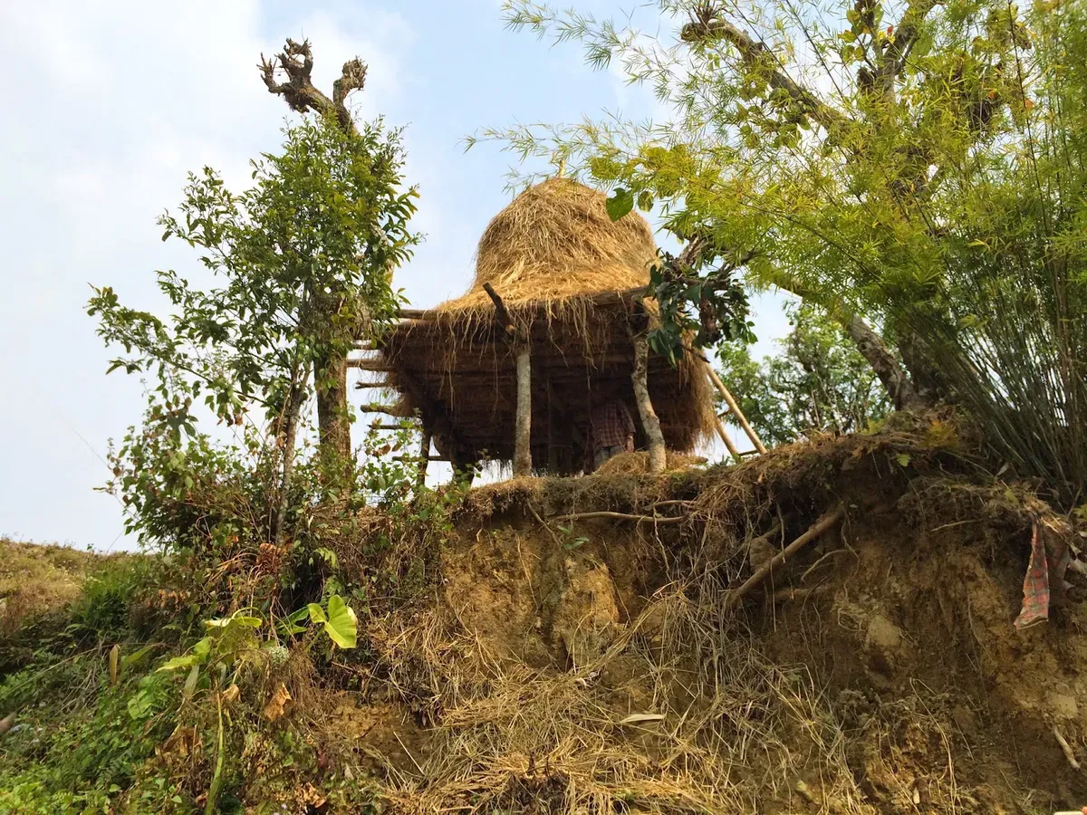A large stack of straw raised above the ground