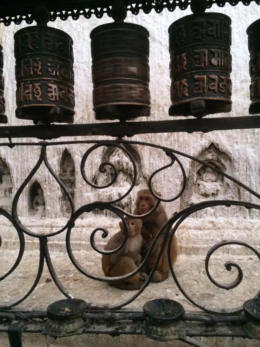 Close view of prayer wheels behind an iron railing