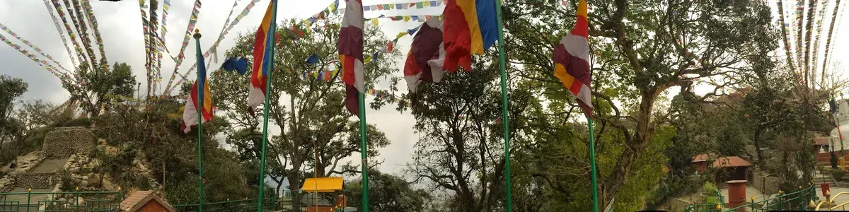 Prayer flags stretched between trees on the temple grounds